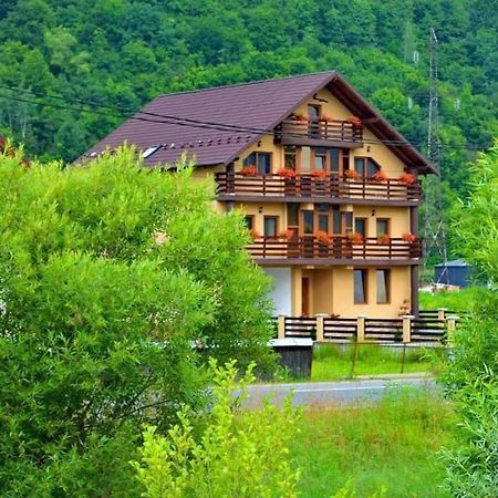 Hotel Casa Vadeanu Sighetu Marmaţiei Exteriér fotografie