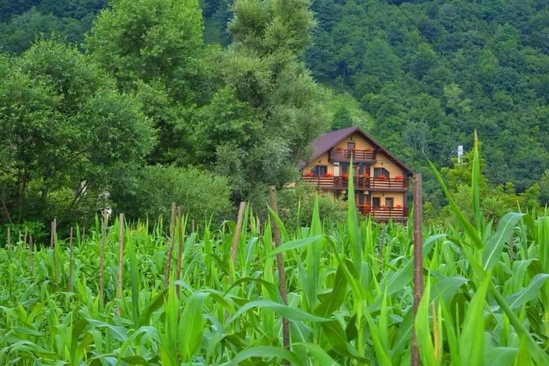 Hotel Casa Vadeanu Sighetu Marmaţiei Exteriér fotografie